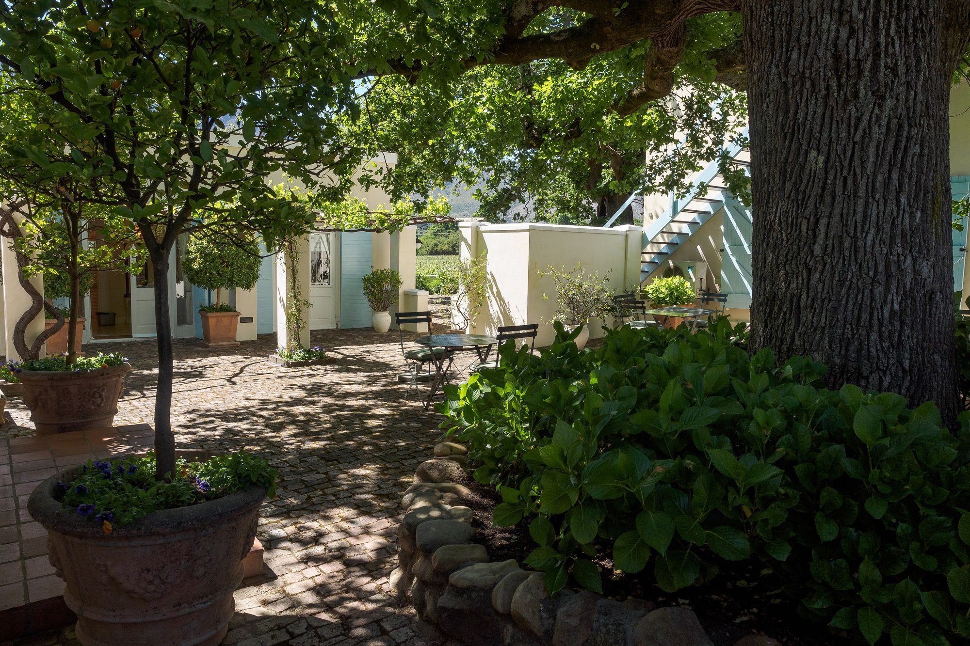 Auberge Clermont فرانستشوك المظهر الخارجي الصورة